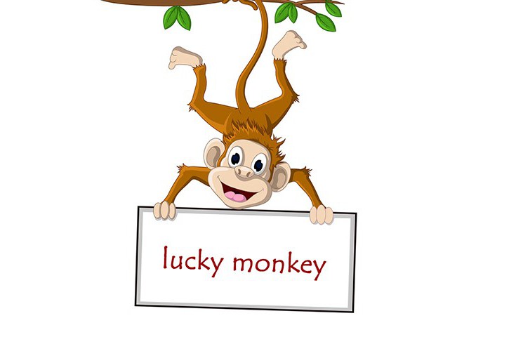 2016 谁是你的lucky monkey？