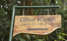 寻找Clifton……