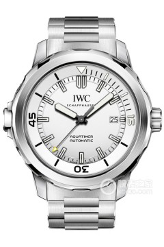 IWC万国表海洋时计系列IW329004