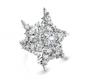蒂芙尼BLUE BOOK高级珠宝2023 BLUE BOOK铂金镶嵌一颗重逾2克拉的钻石及钻石戒指戒指
