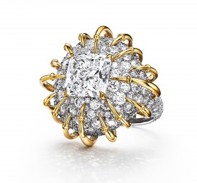 蒂芙尼BLUE BOOK高级珠宝铂金及18K黄金镶嵌一颗重逾5克拉的钻石及钻石戒指戒指